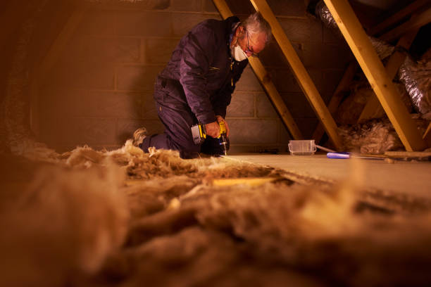 Professional Insulation Contractor in Antioch, CA